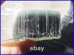 Blue-Green Caps on Green Tourmaline Crystals in Frosted Quartz, Terminated