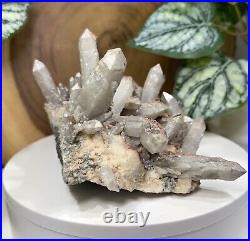 Elestial Smoky Candle Quartz Included Crystal Cluster Frosted with Red Hematite