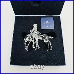 Swarovski Pair Of Foals Horses Figurine Ornament Clear NEW IN BOX 627637